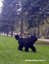 Adam Racy Style ALEKSANDRA!!!