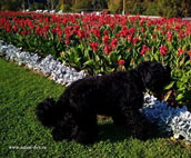 Adam Racy Style ALEKSANDRA!!!