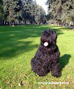 Adam Racy Stail ALEKSANDRA!!!