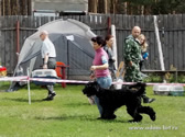 Adam Racy Style ALEKSANDRIYA - BEST BABY OF THE NATIOANL BRT CLUB DOG SHOW! BEST PUPPY OF THE ALL-RUSSIAN EXHIBITION! BABY BEST IN SHOW! PUPPY BEST IN SHOW!