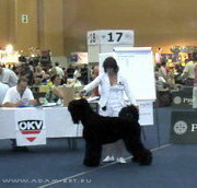 BORESLAVA LUBOV ADAMA