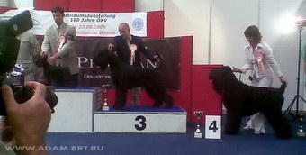 ADAM - THE CHAMPION!