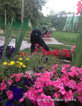 Adam Racy Style BERENICE!