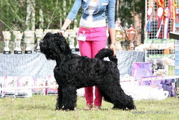 ADAM RACY STYLE BERENIS - THE BEST JUNIOR OF BREED