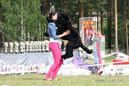 ADAM RACY STYLE BERENIS - THE BEST JUNIOR OF BREED