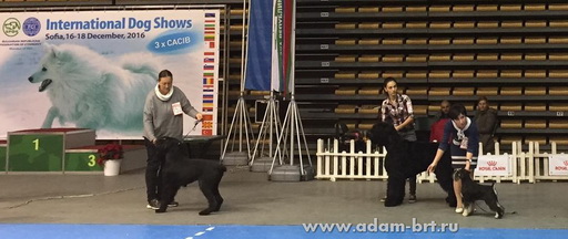 Adam Racy Style RUSSKIY BOGATYR!!!