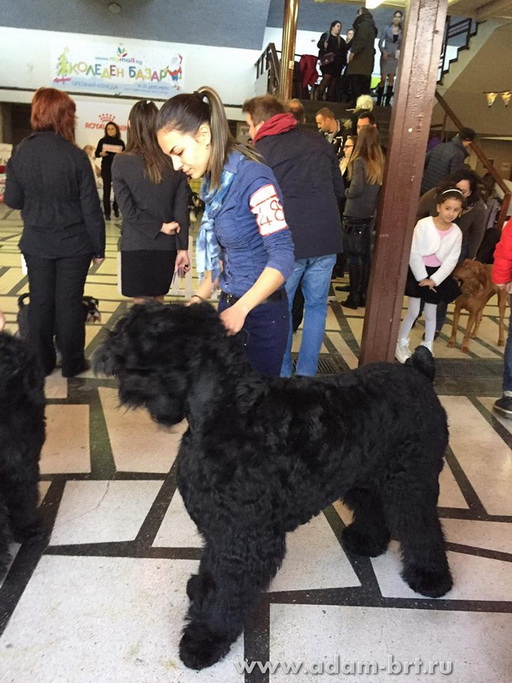 Adam Racy Style RUSSKIY BOGATYR!!!