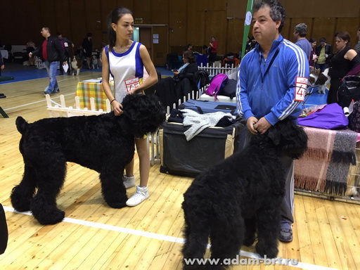 Adam Racy Style RUSSKIY BOGATYR!!!