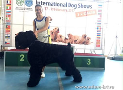 Adam Racy Style RUSSKIY BOGATYR - YOUNG CHAMPION OF THE BALKANS!!