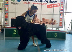      - JUNIOR GRAND CHAMPION OF REPUBLIKA BULGARIA