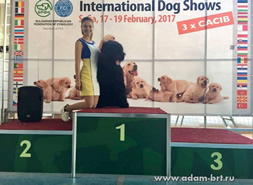Adam Racy Style RUSSKIY BOGATYR - JUNIOR GRAND CHAMPION OF REPUBLIKA BULGARIA