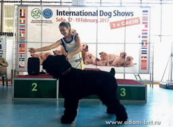 Adam Racy Style RUSSKIY BOGATYR - YOUNG CHAMPION OF THE BALKANS!!