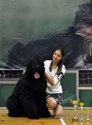 Adam Racy Style RUSSKIY BOGATYR - CHAMPION OF RUSSIAN BLACK TERRIERS BULGARIAN CYNOLOGICAL CLUB!