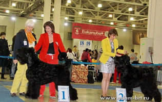 BORESLAVA LJUBOV ADAMA –EURASIA WINNER!