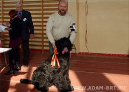 ADAM RACY STYLE BOSS - THE BEST JUNIOR OF BREED