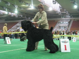 Moskvorechye ANTOSHKA SYN ADAMA