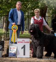 Adam Racy Style RYTSAR SVETA - THE WINNER OF THE OPEN CLASS OF THE BRT BREED CHAMPIONSHIP!
