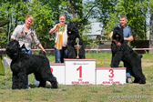 Adam Racy Style RYSTSAR SVETA & HARVARD - PRIZE WINNER AND WINNER OF THE NATIONAL CLUB OF BLACK RUSSIAN TERRIER BREED CHAMPIONSHIP!