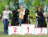 Adam Racy Style ROSSIYA VELIKAYA - TWICE CHAMPION OF BLACK RUSSIAN TERRIER BREED NATIONAL CLUB!