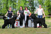 Adam Racy Style RYSTSAR SVETA & ROSSIYA VELIKAYA - RUSSIAN BLACK TERRIER BREED CHAMPIONSHIP WINNERS! THE BEST COUPLE OF THE BRT DOG SHOW!
