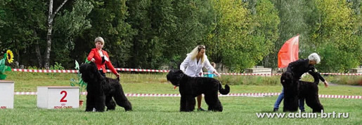 Adam Racy Style  () -         !