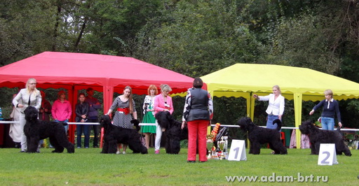 Racy Style RYTSAR SVETA and Adam Racy Style APOLLON