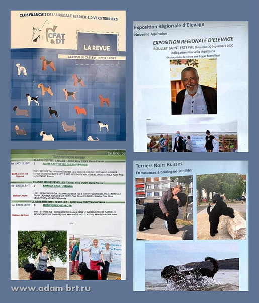 Adam Racy Style   -  !  !