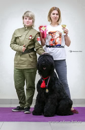 Adam Racy Style CHERNAYA ZHEMCHUZHINA - BEST JUNIOR OF BREED, BEST ADULT OF BREED! JUNIOR CHAMPION OF RFSS AND RFLS DOGS BREEDING RUSSIAN FEDERATIONS! RUSSIAN KYNOLOGICAL FEDERATION RKF JUNIOR CHAMPION!