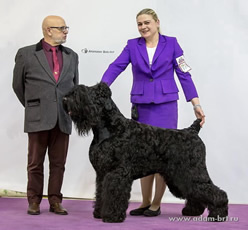 Adam Racy Style RYTSAR SVETA - PRIDE OF RUSSIA! CHAMPION OF RUSSIAN CYNOLOGICAL FEDERATION! INTERNATIONAL CHAMPION!