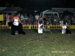 BORESLAVA LUBOV ADAMA - BOB!!!