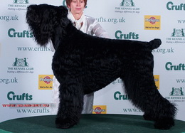 ADAM BOB CRUFTS-2008