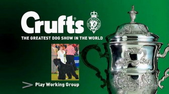 CRUFTS - 2008 VIDEO