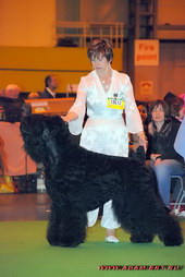 ADAM - BEST OF BREED! 