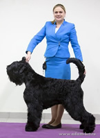 Adam Racy Style CZARSKAYA OSOBA - THE BEST JUNIOR  BITCH OF BREED! THE JUNIOR CHAMPION OF RUSSIA!