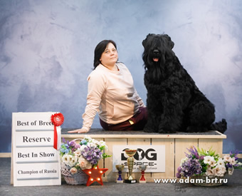 Adam Racy Style   -   !      !