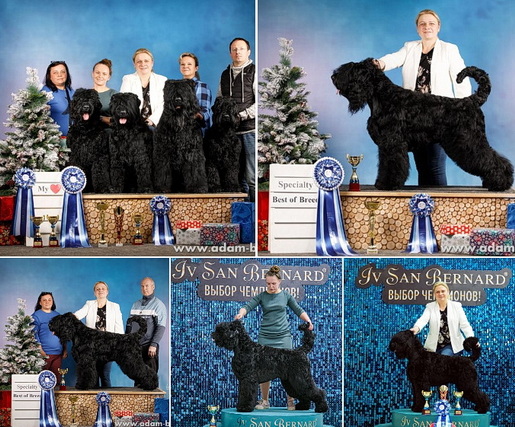 Adam Racy Style -      !