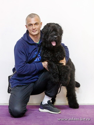 Adam Racy Style CZARITSA BOGOV - BEST BABY OF RUSSIAN BLACK TERRIER BREED!
