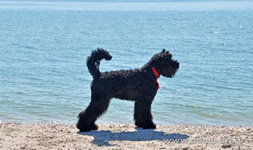 DOCH APOLLONA at the seaside!!!