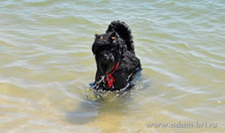 DOCH APOLLONA at the seaside!!!