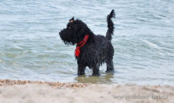 DOCH APOLLONA at the seaside!!!