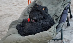 DOCH APOLLONA at the seaside!!!