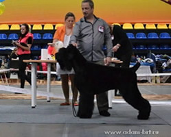 EVANGELISTA IZ CHERNOY RATI