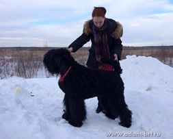 Adam Racy Style DALLAS - CHAMPION RKF!