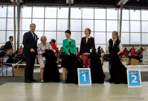 Adam Racy Style - The Best kennel in Show!