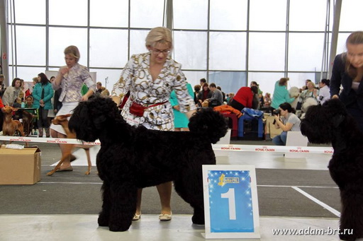 Adam Racy Style RUS VELIKAYA!