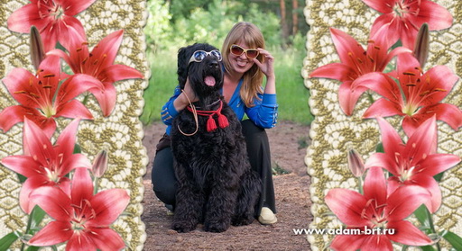 Tainoe Zhelanie DOCH ADAMA!