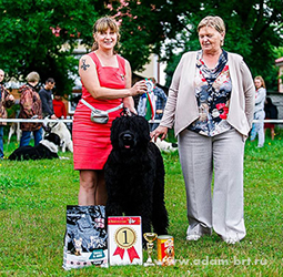 Otvazhnyi Voin DRAKON UDACHI (APOLLON  BERISLAVA) - BEST PUPPY OF BREED!!!