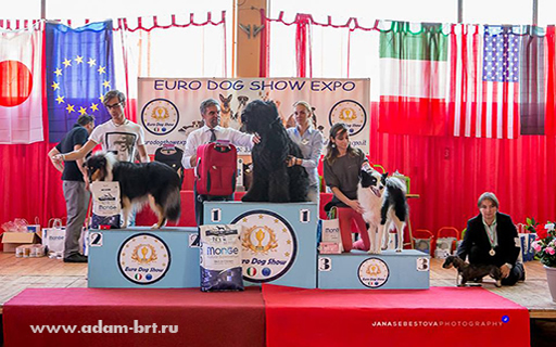 DU SOLEY  BEST JUNIOR IN SHOW AND JUNIOR CHAMPION OF SUN-MARINO!
