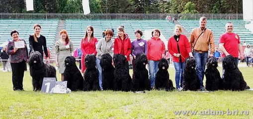 ADAM RACY STYLE – THE BEST KENNEL!!!