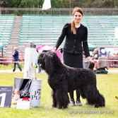 Adam Racy Style DAVID - CHAMPIONS CLASS WINNER!!!